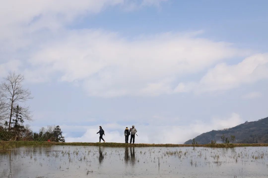 阿者科春游 邓娇 摄 (1).JPG