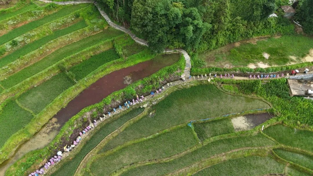 徒步游梯田 卢梦妮 摄 (3).JPG