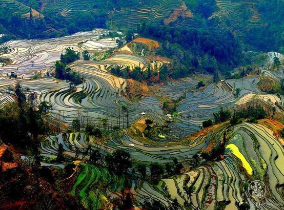 code_ynrbfcdf8d80-d531-425b-8978-7e84505cf4c3.jpg code_ynrbfcdf8d80-d531-425b-8978-7e84505cf4c3.jpg