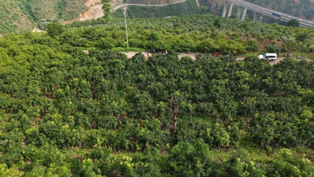 林嘉睿摄 (8).jpg