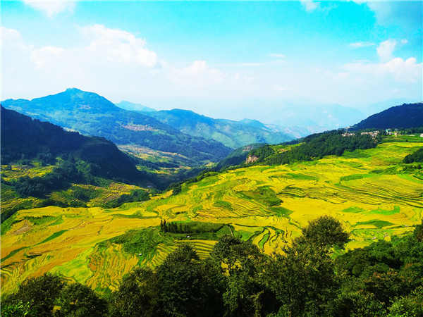 在阿者科村观景台摄影,成为游客的最爱。记者江枫 摄 在阿者科村观景台摄影,成为游客的最爱。记者江枫 摄