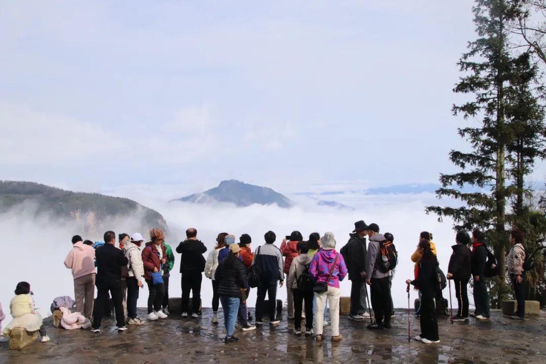 游客到阿者科踏春 陈萍 摄 (1).JPG