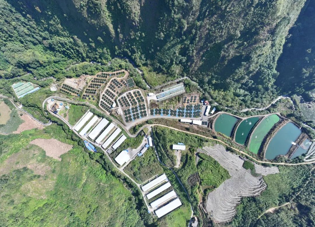 DJI_20251126104738_0250_D.JPG